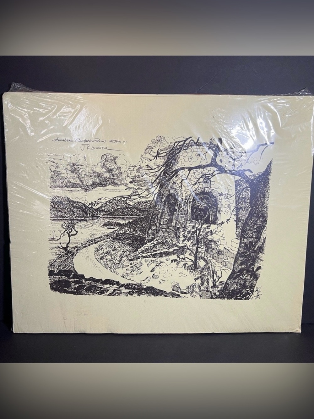 VTG Signed J Rindner Annaberg Plantation Ruins St. John VI Art Print 16 x 20"
